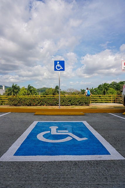 Mengabaikan Aksesibilitas bagi Disabilitas: Pelanggaran Hak Asasi di Ruang Publik disabled, privilege, preferred, parking, place, illness, blue, sign, caution, architecture, signpost, city, disability, sensitivity, accident, psychology, fragility, disabled, disabled, privilege, privilege, privilege, privilege, privilege, disability