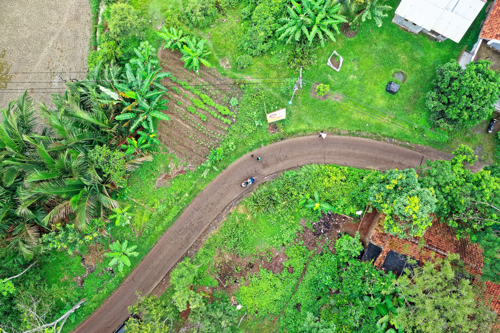 Pemandangan udara lahan pertanian dan jalan di Indonesia sebagai ilustrasi hukum agraria dan batas bidang tanah